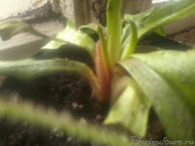 2019-03-14 09.03.19.jpg