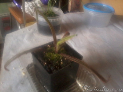 2019-03-14 11.04.59.jpg