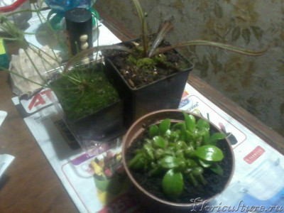 2019-03-06 16.01.00.jpg