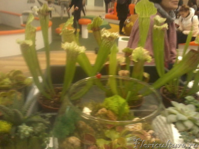 2019-03-06 13.14.03.jpg