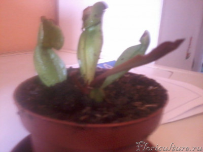 2019-03-26 14.43.33.jpg