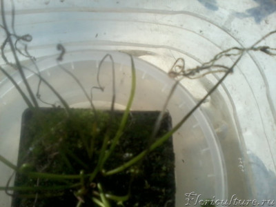 2019-04-07 14.45.53.jpg