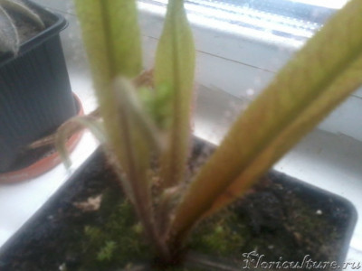 2019-04-11 16.02.34.jpg