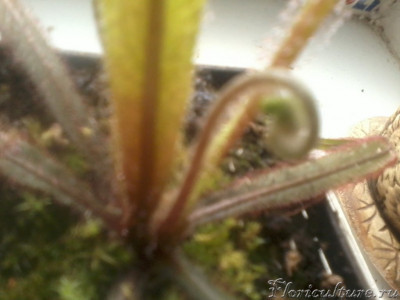 2019-04-08 11.15.50.jpg