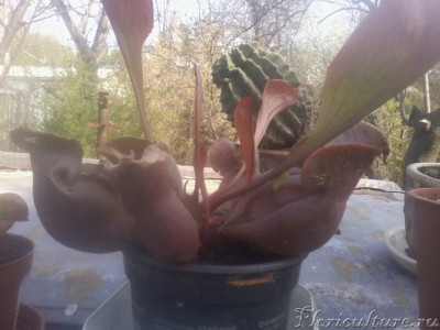 2019-04-21 09.49.06.jpg