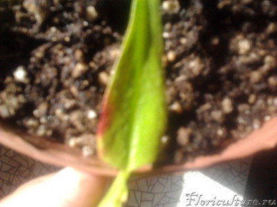 2019-04-26 09.23.09.jpg