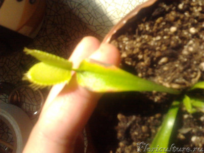 2019-04-26 09.23.31.jpg