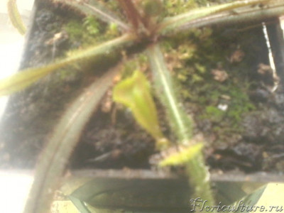 2019-04-27 11.30.19.jpg