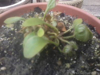 2019-05-02 15.47.17.jpg