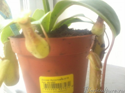 2019-05-03 15.45.08.jpg