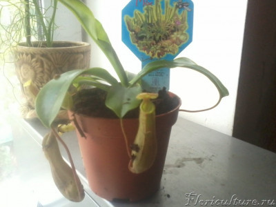 2019-05-03 15.30.23.jpg