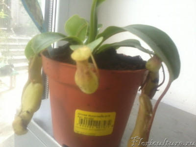 2019-05-03 15.44.38.jpg