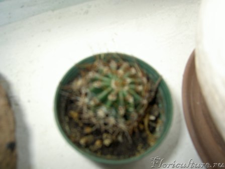 не четко получилось, сорри...