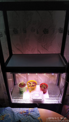 Так примерно будет выглядеть на стойке только на нижнем ярусе.