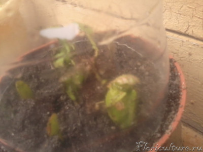 2019-05-07 16.56.03.jpg