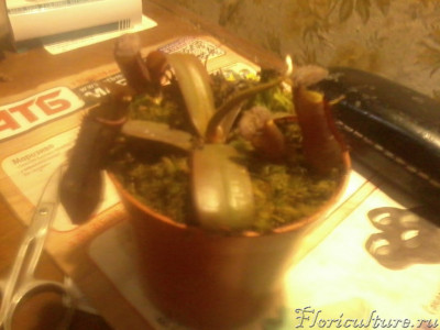 2019-05-11 14.55.28.jpg