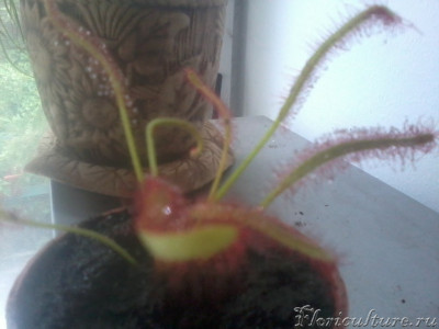 2019-05-11 14.52.07.jpg