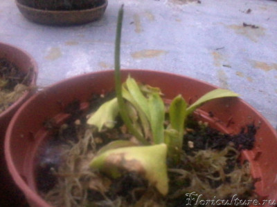 2019-05-22 20.45.01.jpg