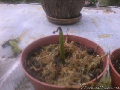 2019-05-22 20.45.18.jpg