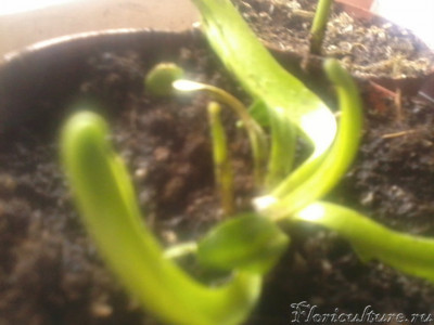 2019-03-14 09.04.06.jpg