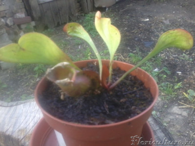 2019-06-02 18.50.45.jpg