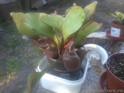 2019-06-02 18.50.25.jpg