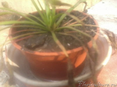 2019-06-21 16.50.06.jpg