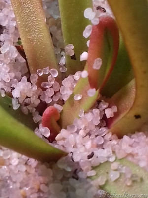 WhatsApp Image 2019-08-20 at 15.53.53.jpeg