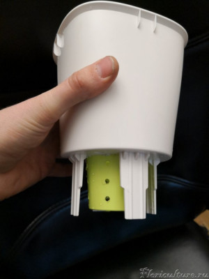 Нарощенный горшок, глубина порядка 8 см, с увеличением до 12 см.