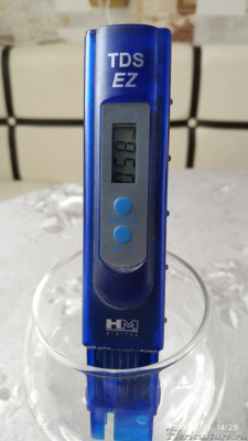 58 ppm