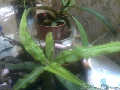 2019-11-11 09.53.01.jpg