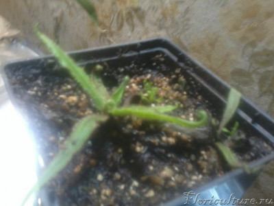 2019-11-11 09.53.22.jpg