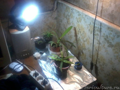 2019-11-20 12.57.19.jpg