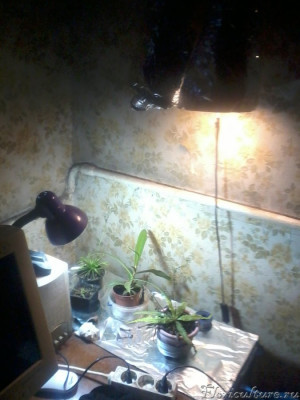 2019-11-20 13.06.49.jpg