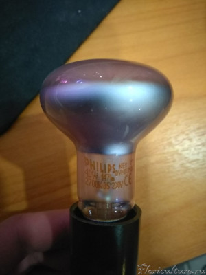 Филипс неодим, 40w, 147lm.