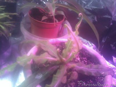 2019-12-02 12.55.22.jpg