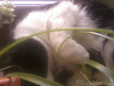 2019-12-01 13.13.00.jpg