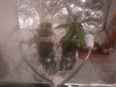 2019-12-04 22.49.53.jpg