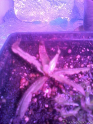 2019-12-06 12.08.16.jpg