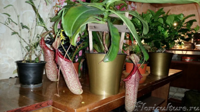 Фото каким он был раньше